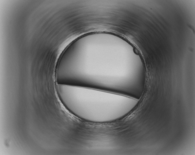 X0000102500951200808080942