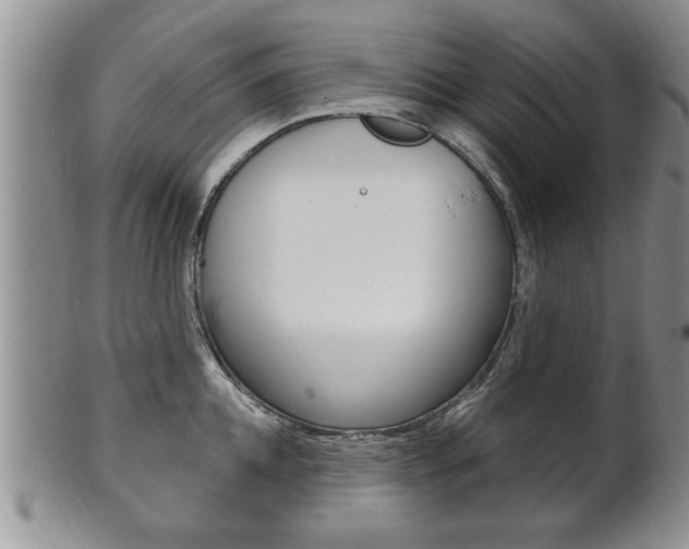 X0000102500952200808080942