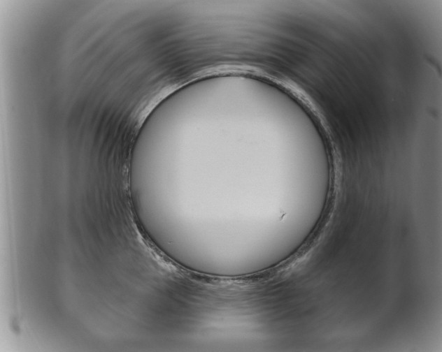 X0000102500953200808080942