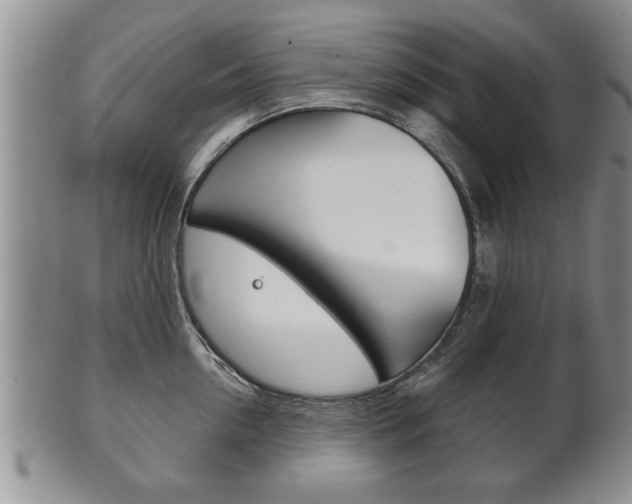 X0000102500954200808080942