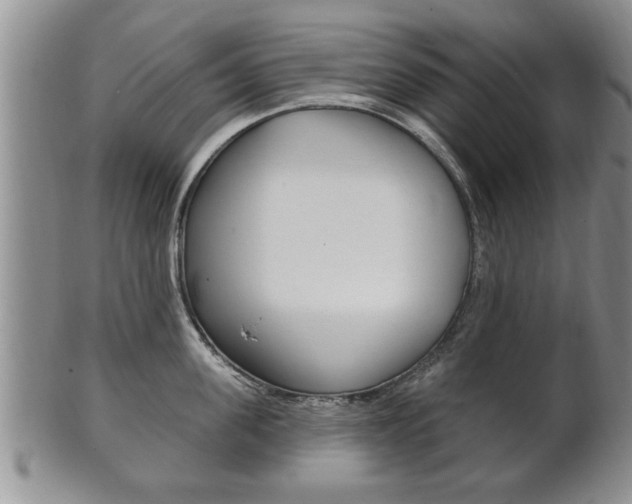X0000102500955200808080942