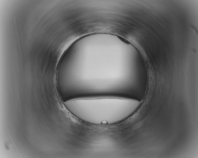 X0000102500956200808080942