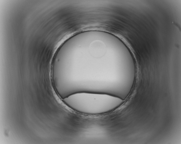 X0000102500957200808080942