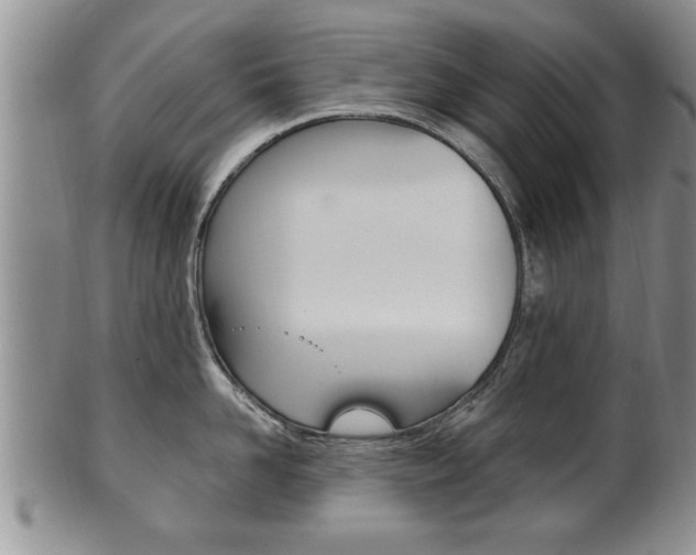 X0000102500958200808080942