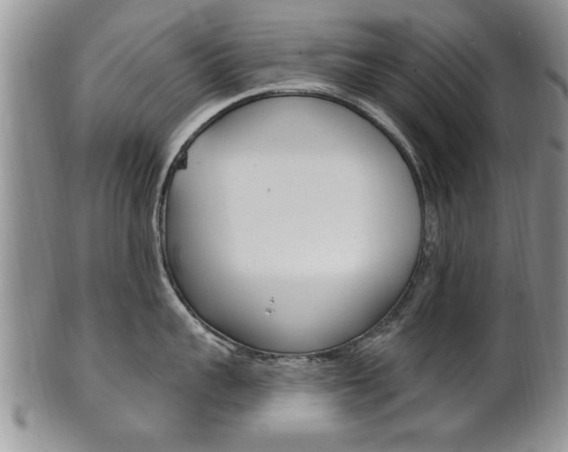 X0000102500959200808080942