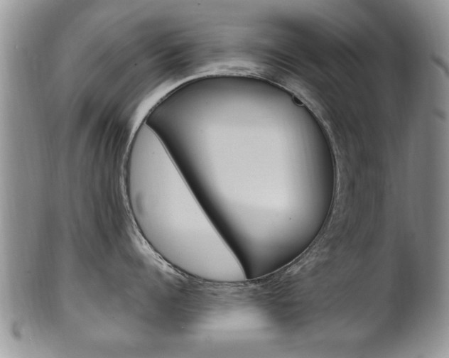 X0000102500960200808080942