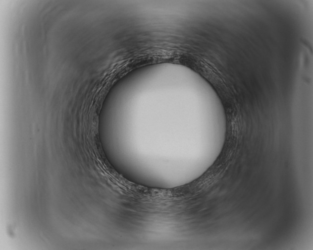 X0000102500961200808080941