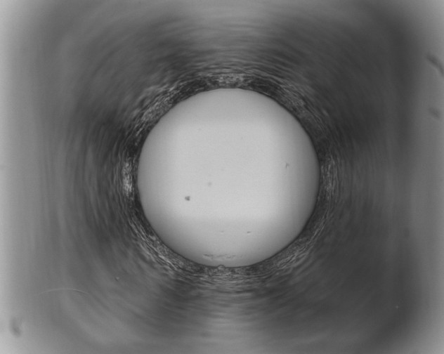 X0000102500962200808080941