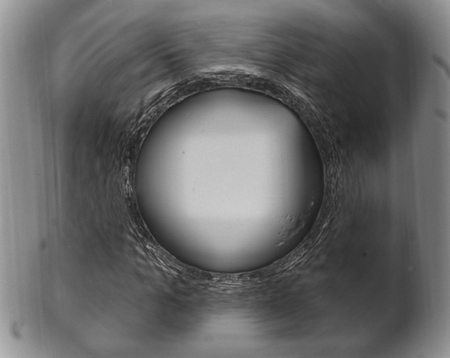 X0000102500965200808080941