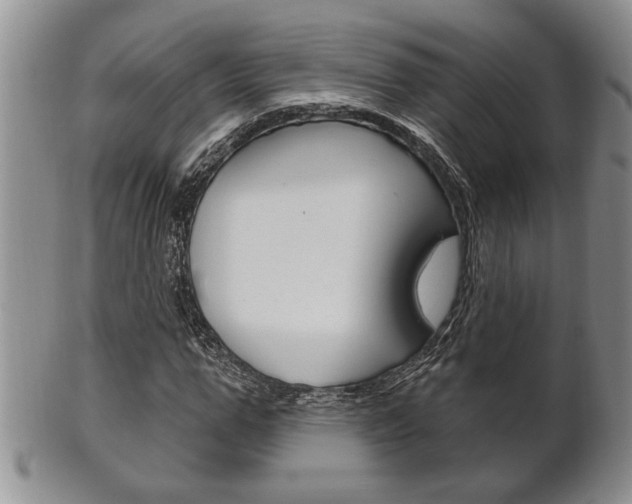 X0000102500967200808080941