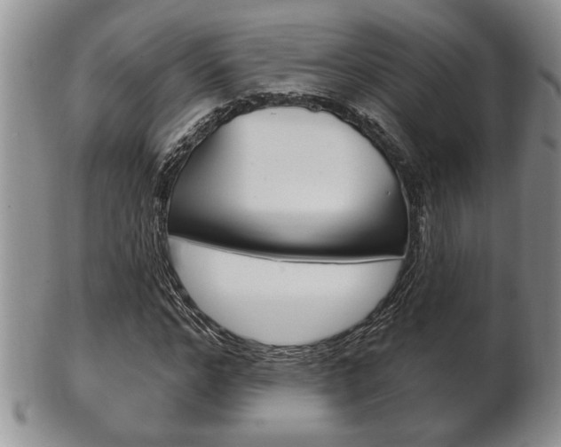 X0000102500968200808080941