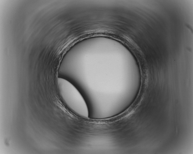 X0000102500969200808080941