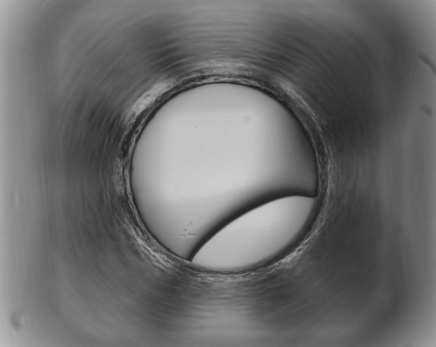 X0000102500970200808080941