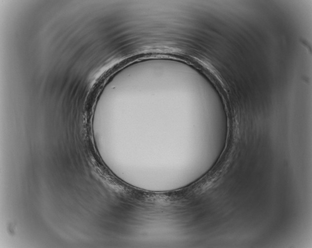 X0000102500971200808080941