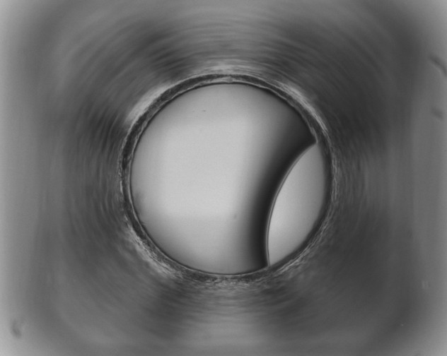 X0000102500972200808080941