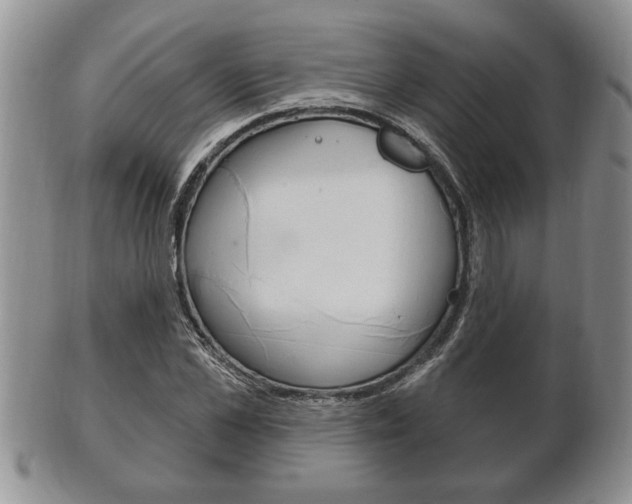 X0000102500973200808080941