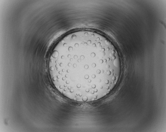 X0000102500974200808080941