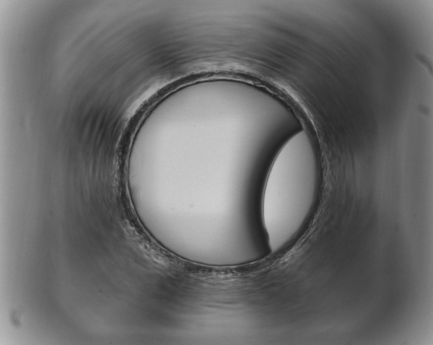 X0000102500975200808080941