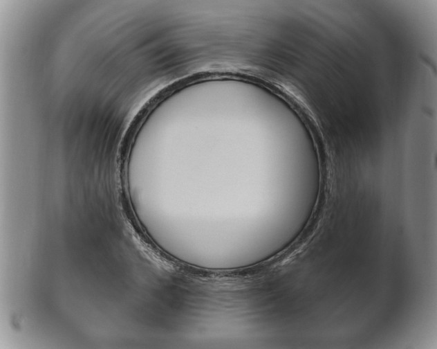 X0000102500976200808080941