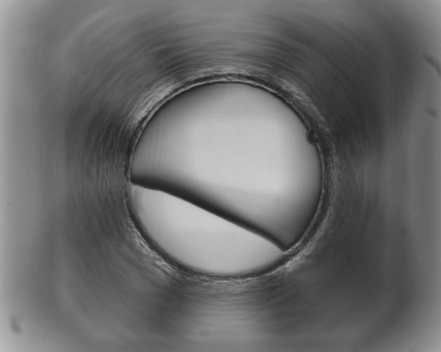 X0000102500977200808080941