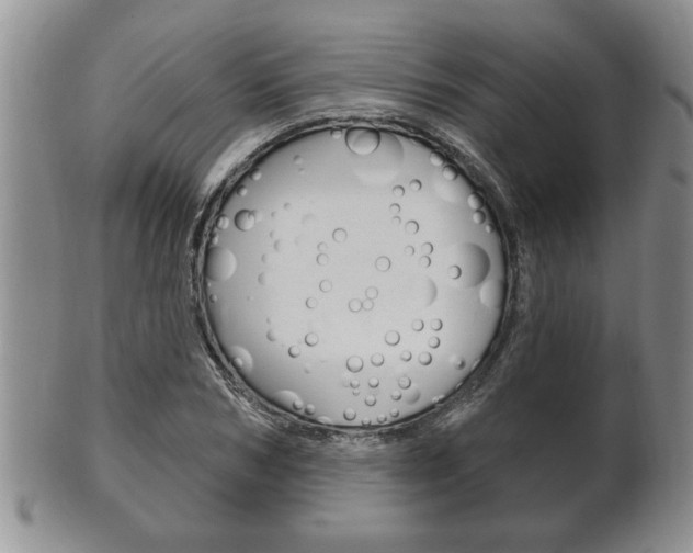 X0000102500978200808080941