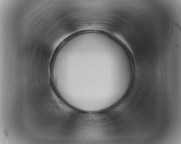 X0000102500980200808080941