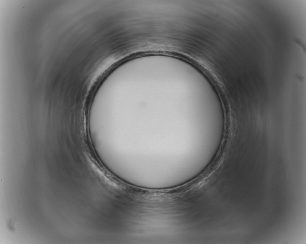 X0000102500982200808080941