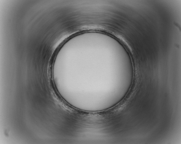 X0000102500983200808080941