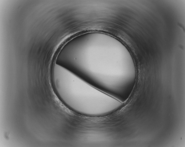 X0000102500984200808080941