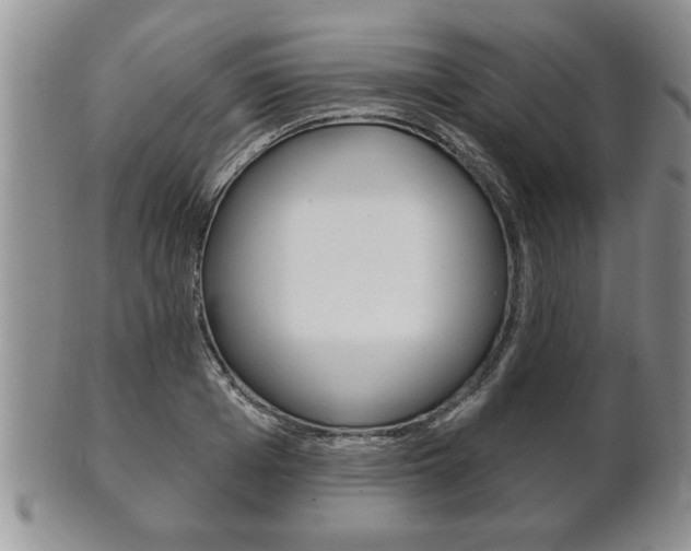 X0000102500985200808080941
