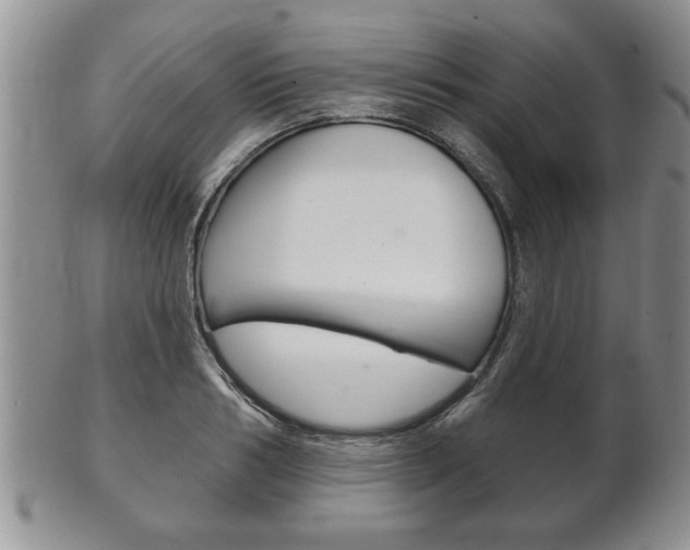 X0000102500986200808080941
