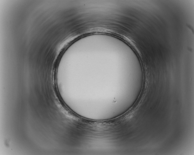 X0000102500987200808080941