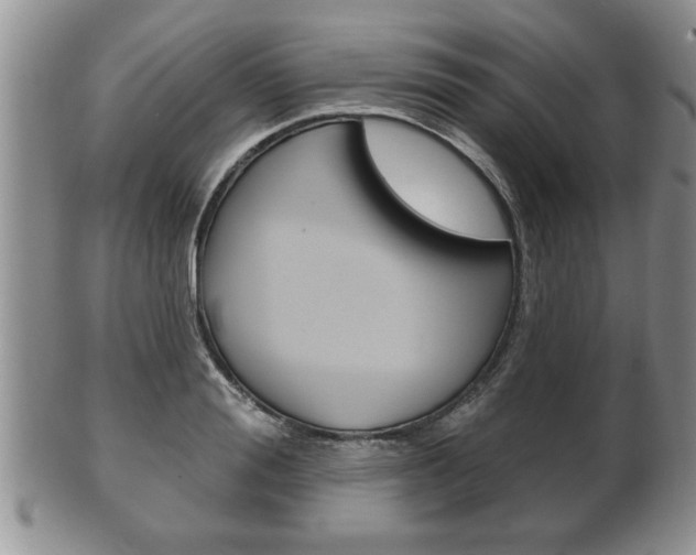 X0000102500988200808080941