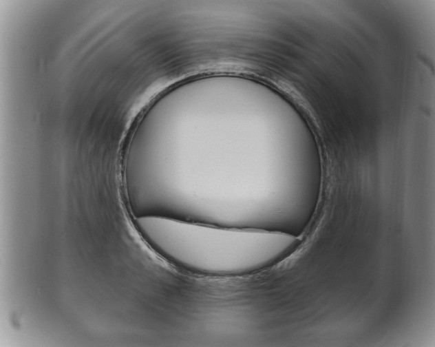 X0000102500989200808080941