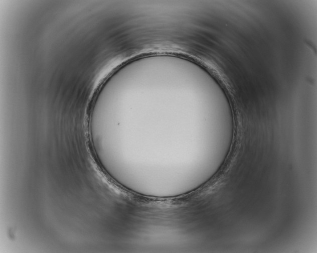 X0000102500990200808080941