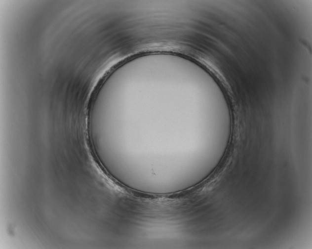X0000102500992200808080941