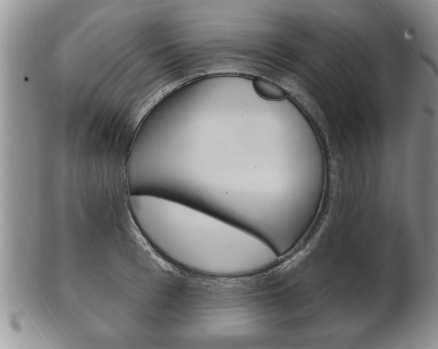 X0000102500993200808080941