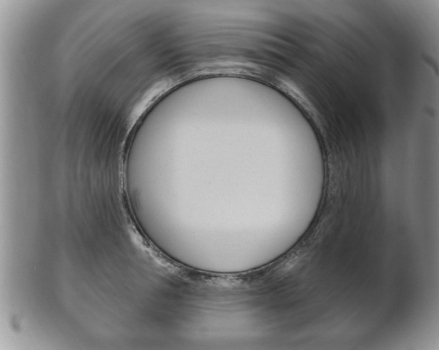 X0000102500994200808080941