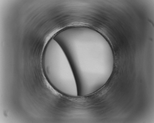 X0000102500995200808080941