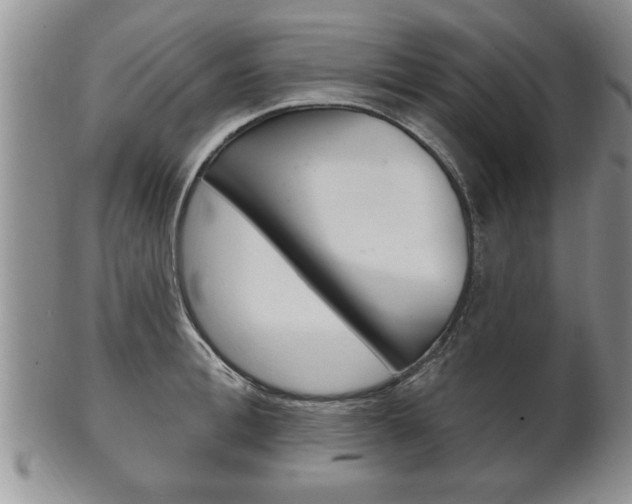 X0000102500996200808080941
