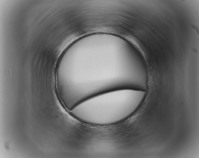 X0000102500999200808080940