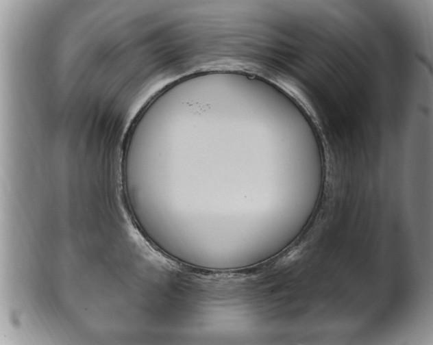 X0000102501000200808080940