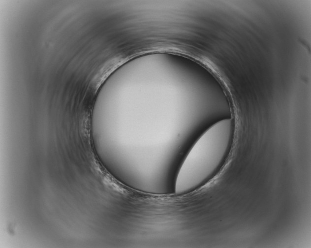 X0000102501001200808080940