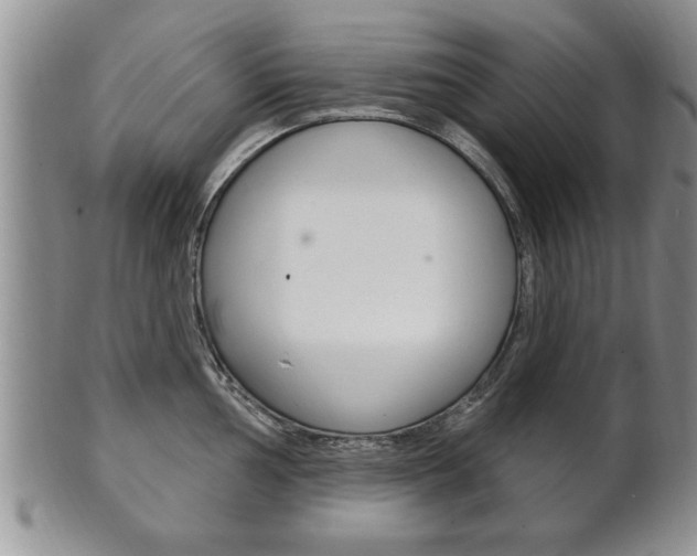 X0000102501002200808080940
