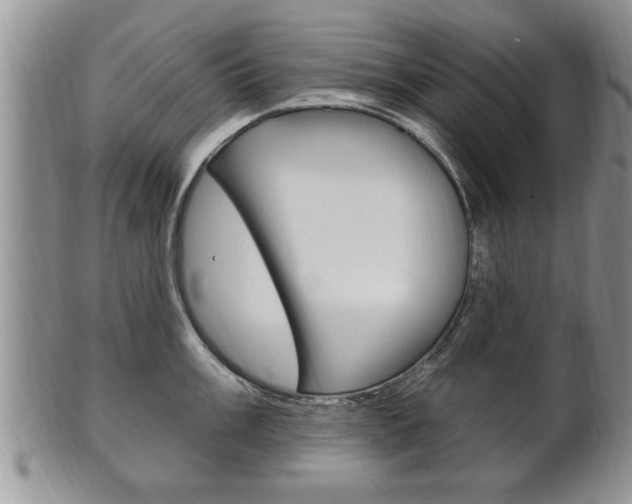 X0000102501003200808080940