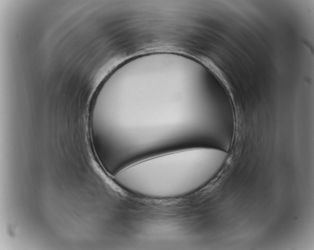 X0000102501005200808080940