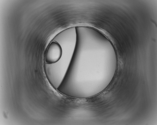 X0000102501006200808080940