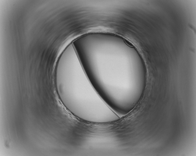 X0000102501008200808080940