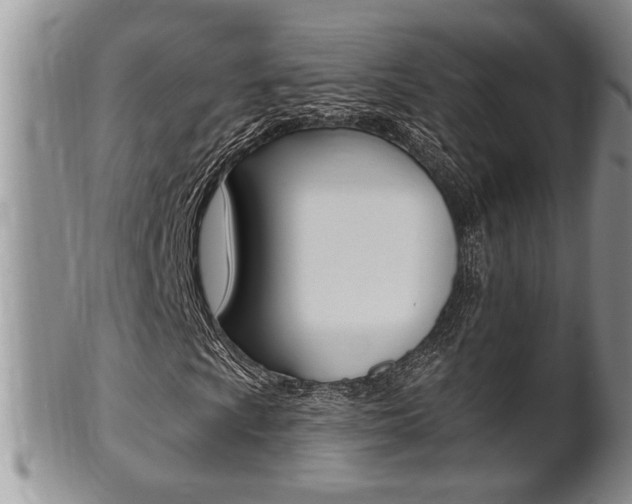 X0000102501009200808080940
