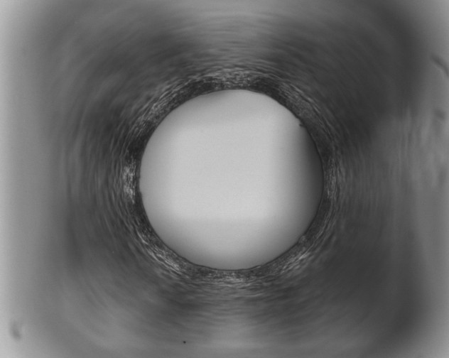 X0000102501010200808080940